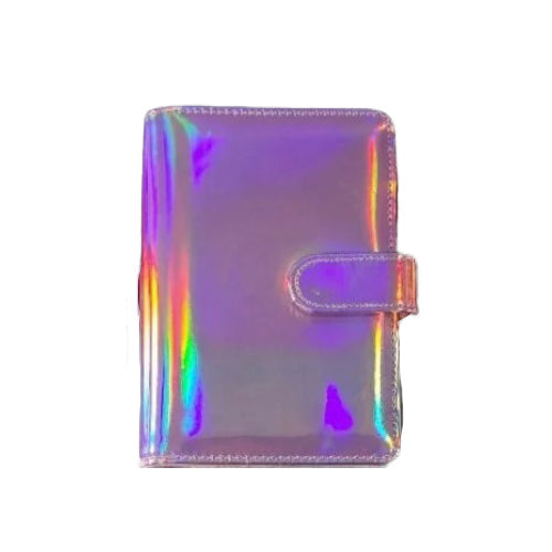Holographic Budget Book